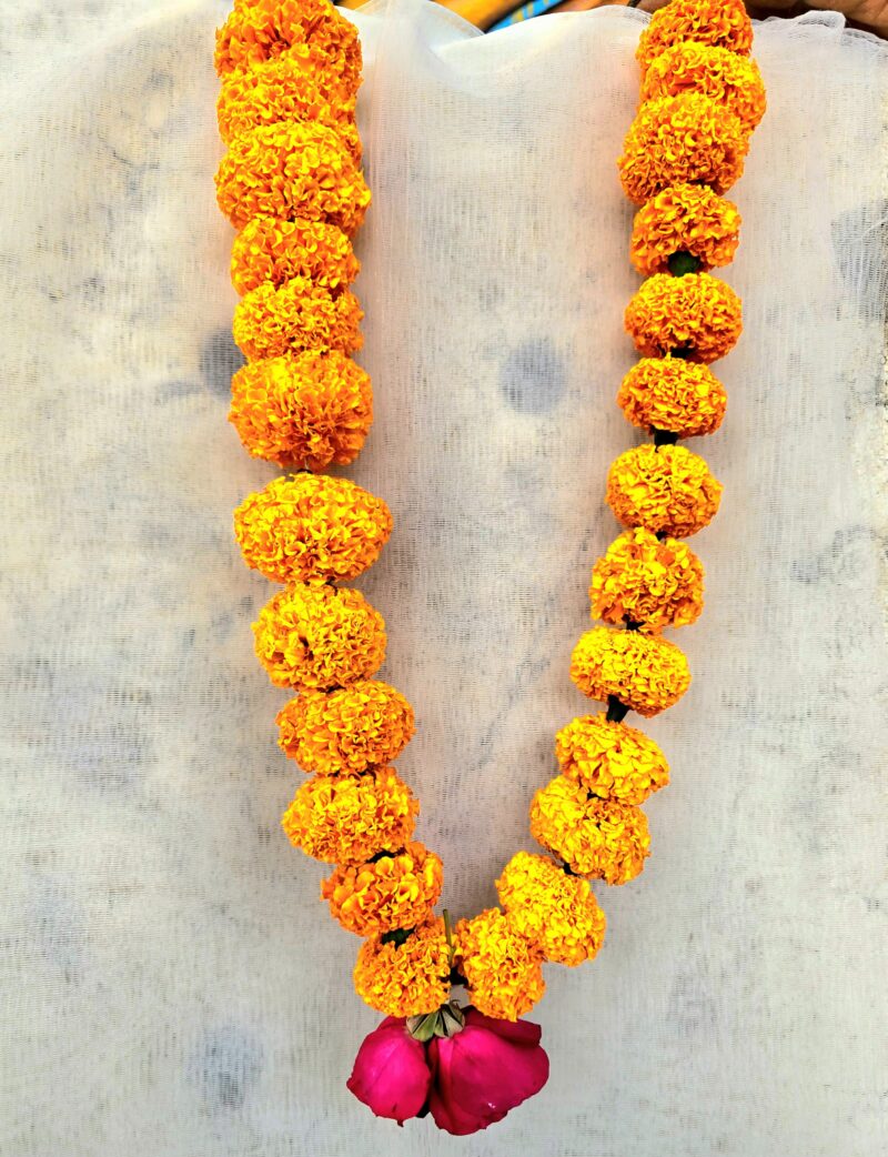 Orange Garland