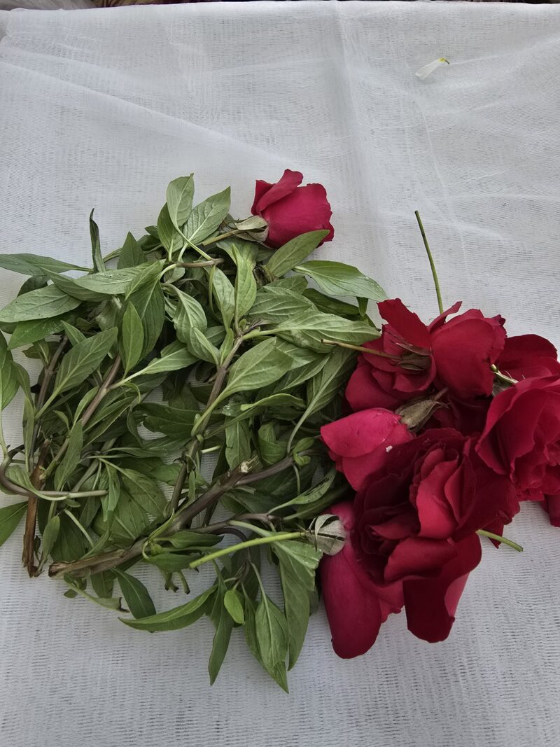 Damro Gulab - Puja Flowers - Image 2