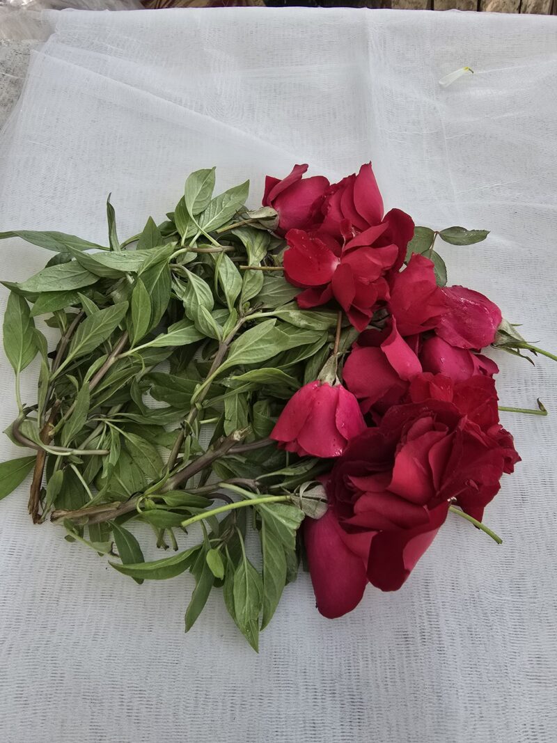 Damro Gulab - Puja Flowers